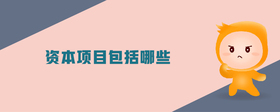 資本項目包括哪些