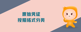 原始憑證按照格式分類
