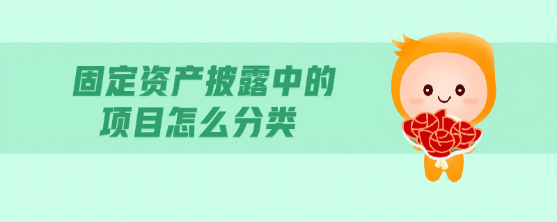 固定資產(chǎn)披露中的項(xiàng)目怎么分類
