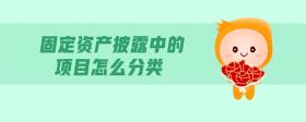 固定資產(chǎn)披露中的項目怎么分類