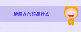 納稅人代碼是什么