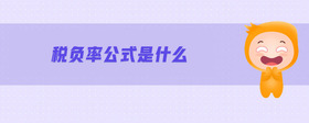 稅負(fù)率公式是什么