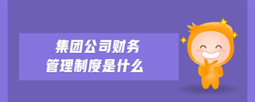 集團(tuán)公司財務(wù)管理制度是什么