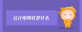 會(huì)計(jì)電算化是什么