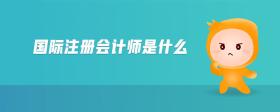 國(guó)際注冊(cè)會(huì)計(jì)師是什么