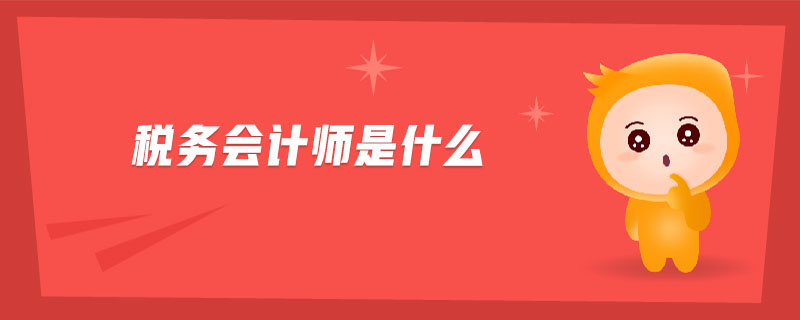 稅務(wù)會(huì)計(jì)師是什么