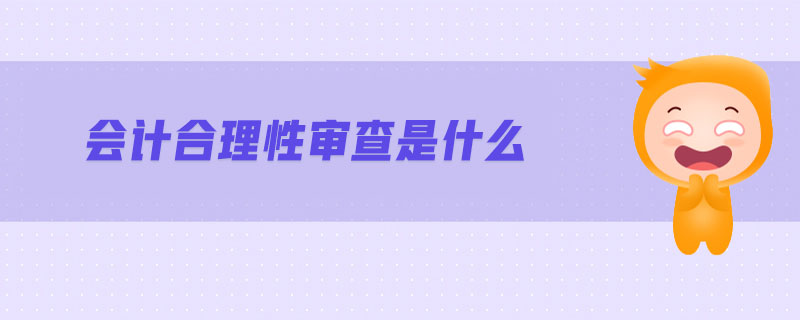 會(huì)計(jì)合理性審查是什么
