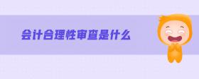 會(huì)計(jì)合理性審查是什么