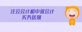 注會會計和中級會計實務(wù)區(qū)別