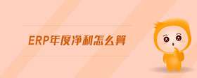 erp年度凈利怎么算