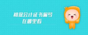 初級會計證書編號在哪里看