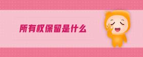 所有權保留是什么