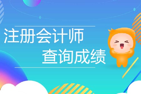 2019年注會(huì)啥時(shí)候出考試成績(jī)
