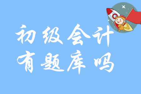 2020年初級會計師考試有題庫嗎？