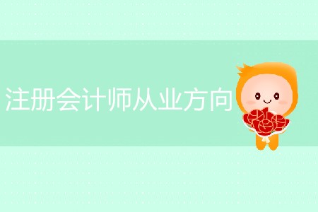 注冊會計師從業(yè)方向具體有哪些？
