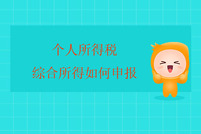 個人所得稅綜合所得如何申報？