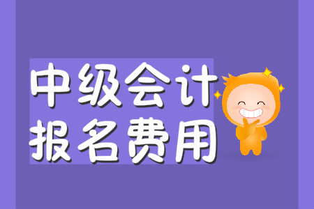 四川2020年中級(jí)會(huì)計(jì)考試費(fèi)用是多少呢?