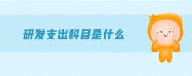 研發(fā)支出科目是什么