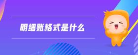 明細(xì)賬格式是什么