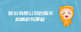 股份有限公司的股東知情權(quán)有哪些