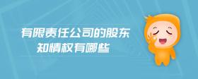 有限責(zé)任公司的股東知情權(quán)有哪些