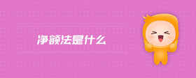 凈額法是什么