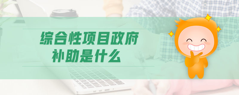 綜合性項(xiàng)目政府補(bǔ)助是什么