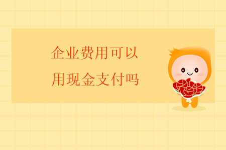 企業(yè)費用可以用現(xiàn)金支付嗎？