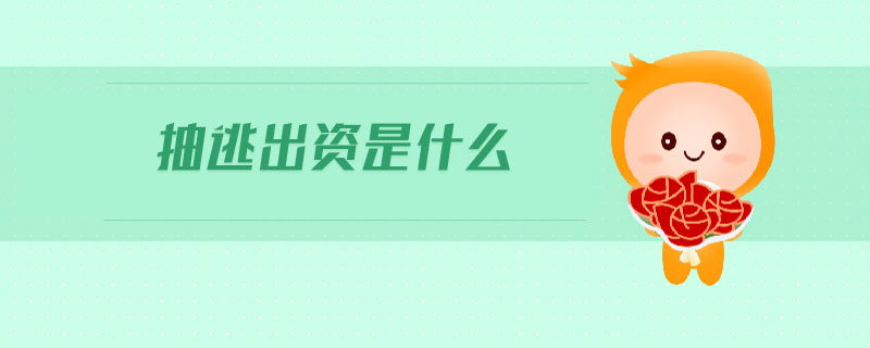抽逃出資是什么