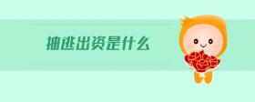 抽逃出資是什么