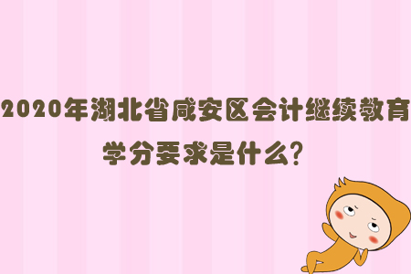 2020年湖北省咸安區(qū)會(huì)計(jì)繼續(xù)教育學(xué)分要求是什么？