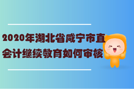 2020年湖北省咸寧市直會計繼續(xù)教育如何審核？