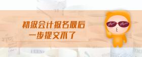 初級會計報名最后一步提交不了