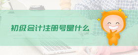 初級會計注冊號是什么