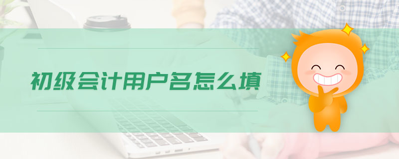 初級(jí)會(huì)計(jì)用戶名怎么填