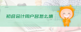 初級會計用戶名怎么填