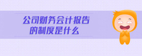 公司財(cái)務(wù)會(huì)計(jì)報(bào)告的制度是什么