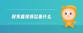 股東直接訴訟是什么