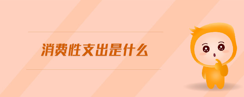 消費性支出是什么