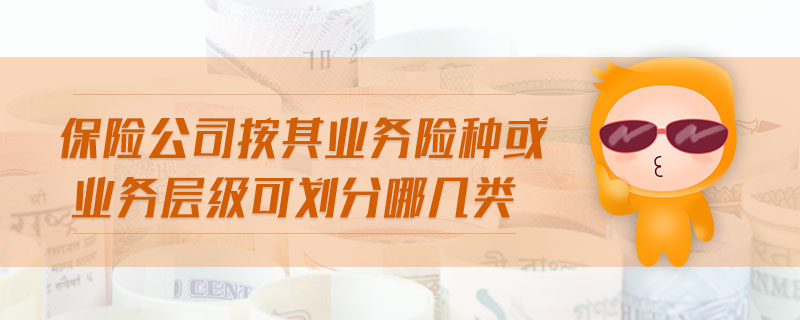保險(xiǎn)公司按其業(yè)務(wù)險(xiǎn)種或業(yè)務(wù)層級(jí)可劃分哪幾類(lèi)