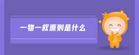 一物一權(quán)原則是什么