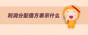 利潤(rùn)分配借方表示什么