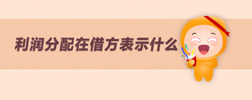 利潤(rùn)分配在借方表示什么
