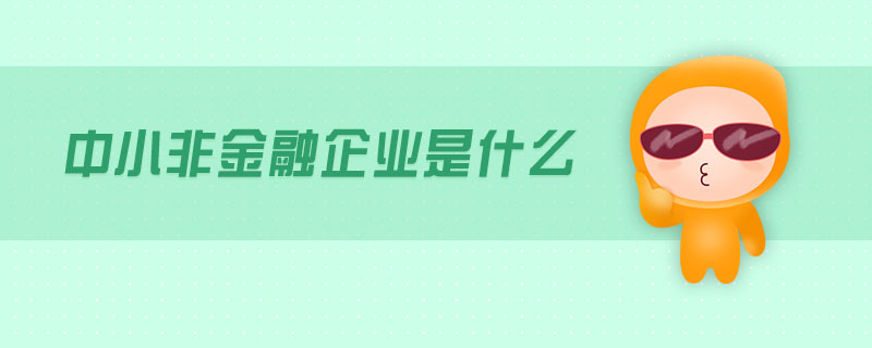 中小非金融企業(yè)是什么
