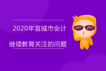 2020年宜城市會(huì)計(jì)繼續(xù)教育應(yīng)該關(guān)注哪些問(wèn)題？