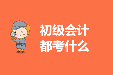 2020年初級(jí)會(huì)計(jì)考哪些內(nèi)容？