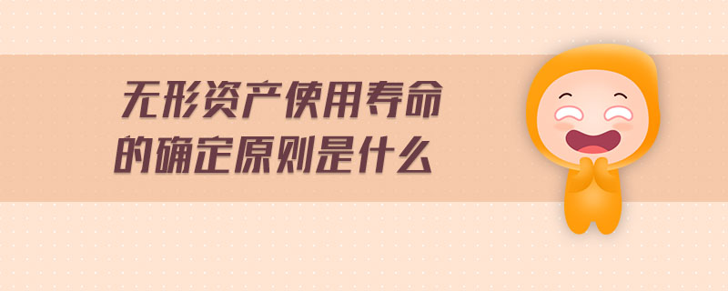 無(wú)形資產(chǎn)使用壽命的確定原則是什么