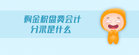 購金稅盤費(fèi)會(huì)計(jì)分錄是什么