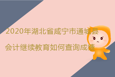 2020年湖北省咸寧市通城縣會(huì)計(jì)繼續(xù)教育如何查詢(xún)成績(jī)？