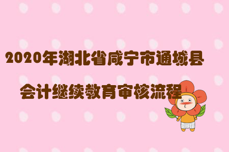 2020年湖北省咸寧市通城縣會計繼續(xù)教育審核流程